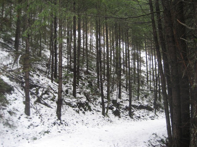 Winter Bend in the Trail