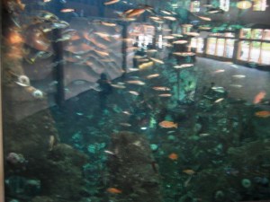 FishWall - by Tommia Wright