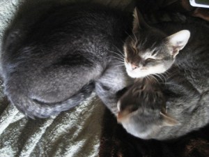 Kit Kat Breaktime by Tommia Wright