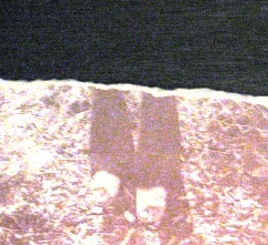 Torn Exposure by Tommia Wright