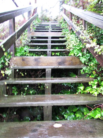 Camano Steps