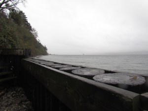 Camano Flyer by Tommia Wright