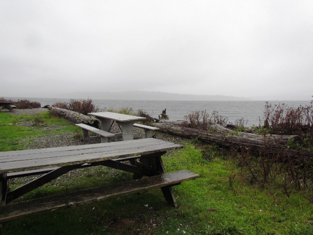 Two wooden picnic benches and a few logs  in a park section. Just beside it, the water, with some mountains obscured by the fog.