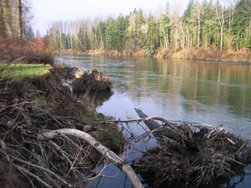 River Walk 4 by Tommia Wright