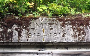 The Tunnel by Tommia Wright