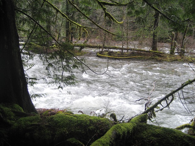 Along the River 1 by Tommia Wright