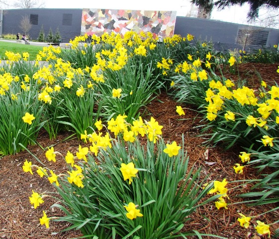 Blooms by the Center by Tommia Wright