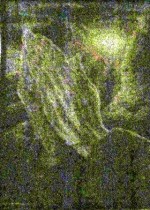 Praying Hands by Tommia Wright