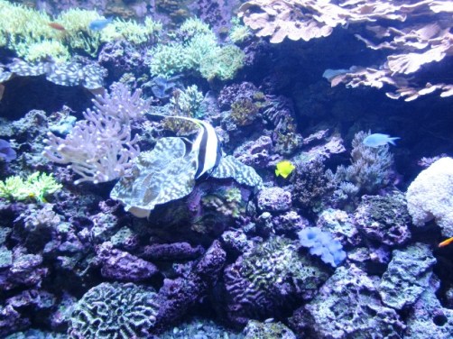 March Tank1 by Tommia Wright