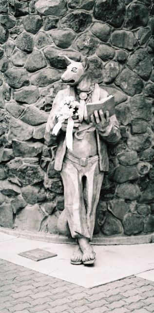 Bronze statue of a coyote dressed up in sandals, pants, shirt, jacket and tie, holding a book in one hand and a bouquet of flowers in the other, while leaning up against an outer wall of a library.