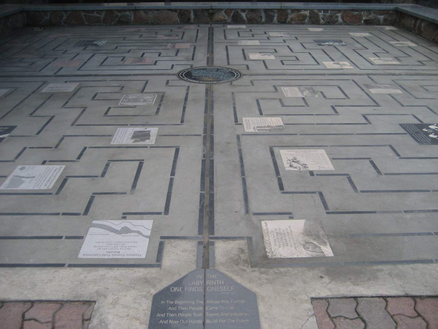 Saturday Snapshots- Library Edition