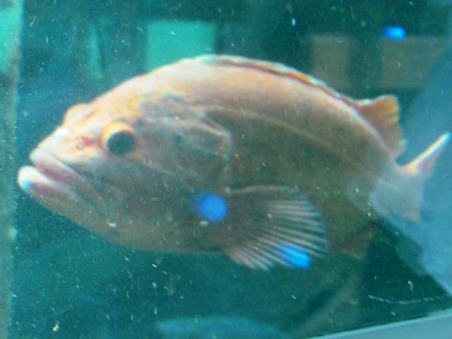 "I don't do windows" by Tommia Wright