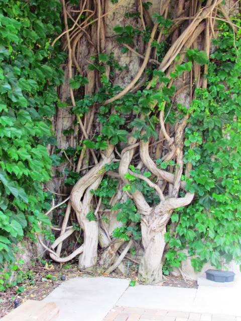 In the Plaza at DMA by Tommia Wright