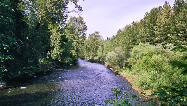 River Walk in June by Tommia Wright