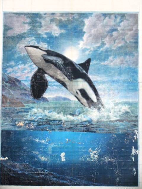 ???????????????????????????????