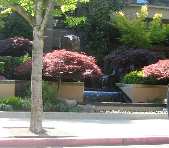 Fun Fountain in Kirkland by Tommia Wright