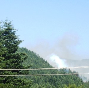 Fire on the Mountain by Tommia Wright