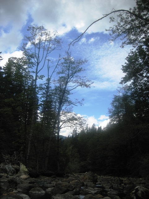 Middle of the River 1 by Tommia Wright