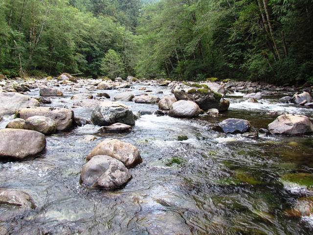 Middle of the River 3 by Tommia Wright