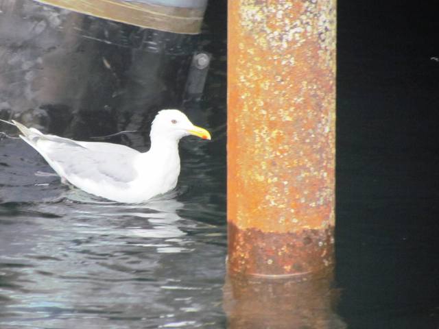 ???????????????????????????????