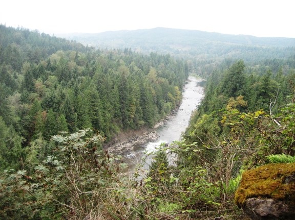 River from the Train by Tommia Wright