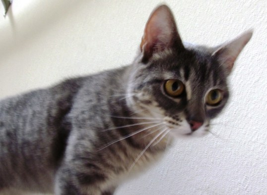 ???????????????????????????????