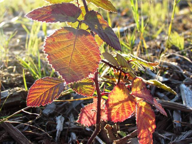 ???????????????????????????????