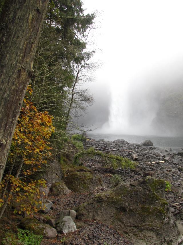 Falls in the Fall Fog