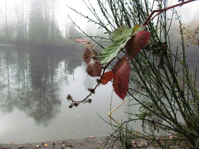 Fall Along the River