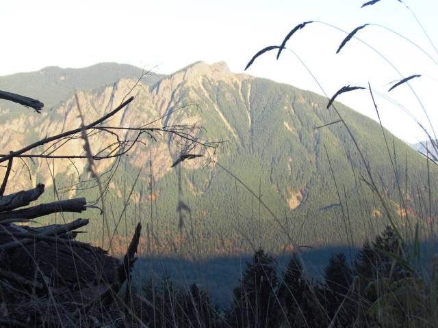 ???????????????????????????????