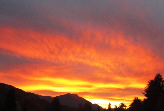 ???????????????????????????????