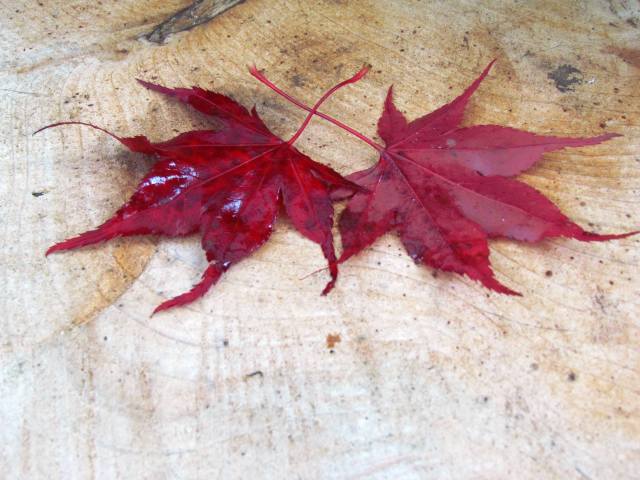 ???????????????????????????????