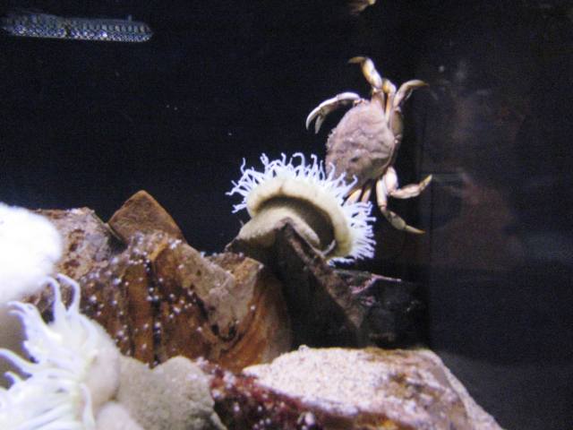 ???????????????????????????????