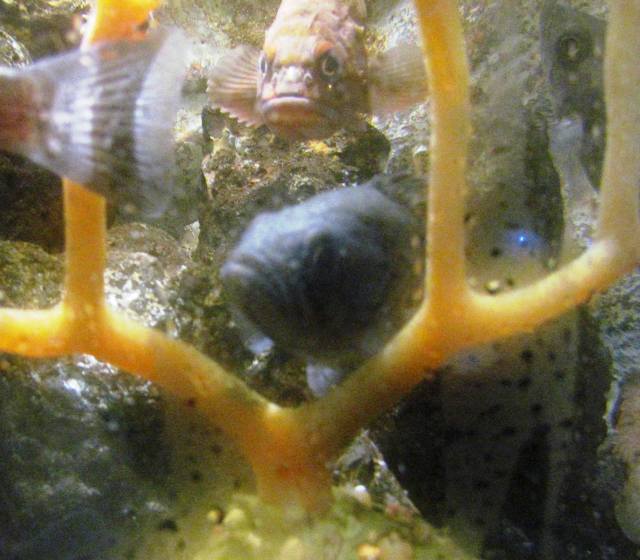 ???????????????????????????????