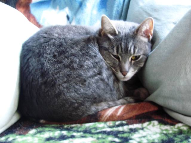 ???????????????????????????????