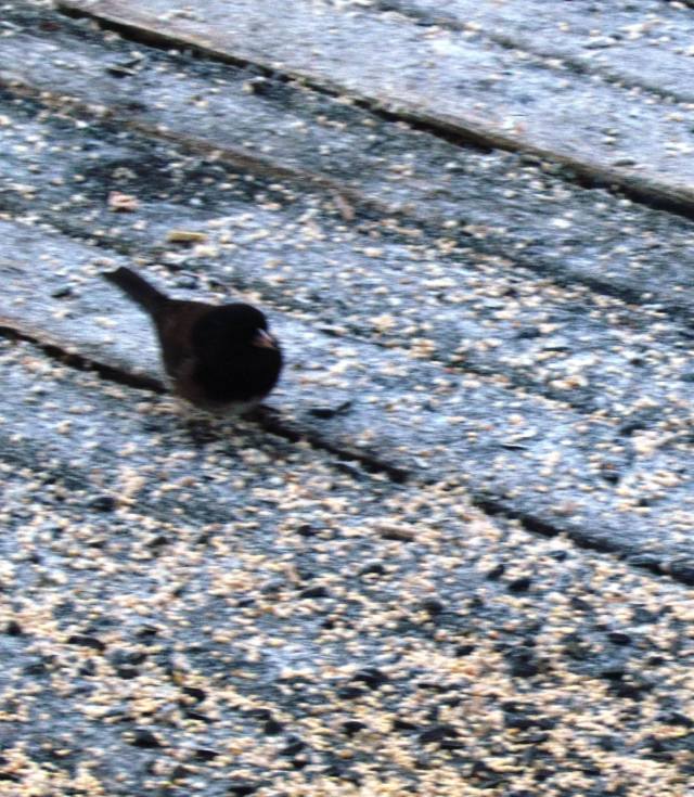 ???????????????????????????????