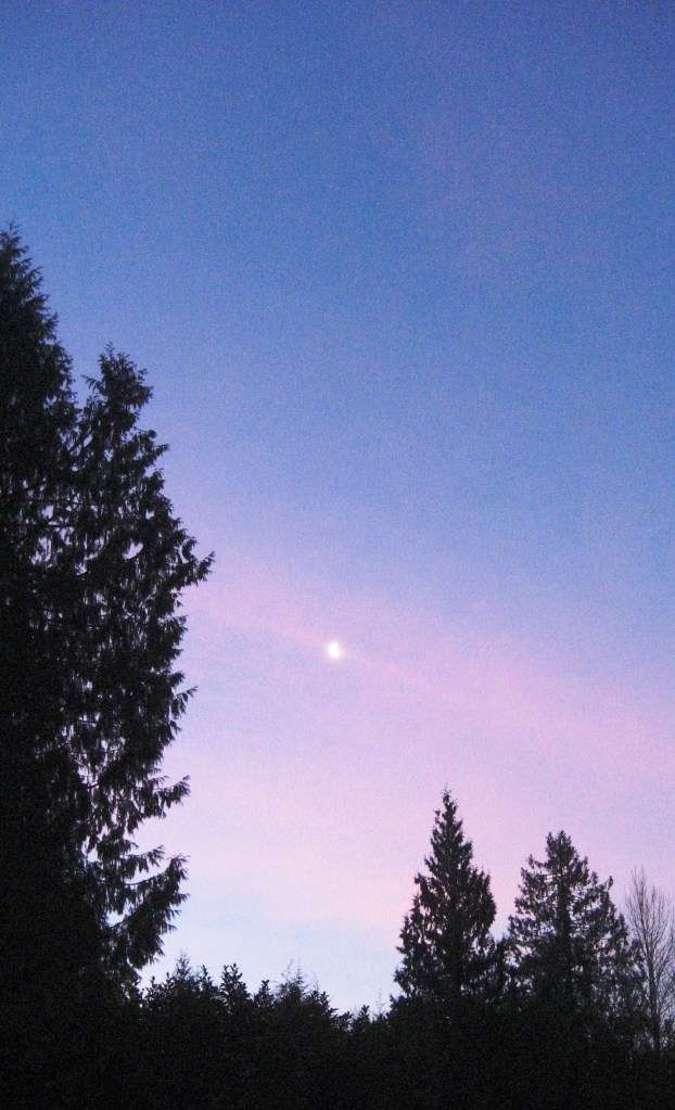 Moon at Sunrise
