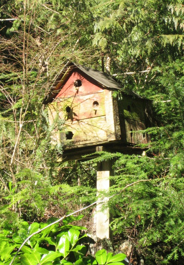 birdhouse
