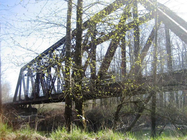 Bridge in Spring