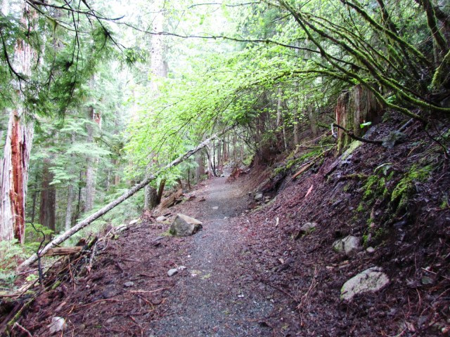 McClellan Butte Trail