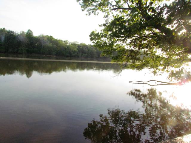 Reflection on the Rappahannock River