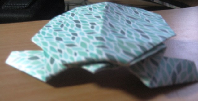 turtle