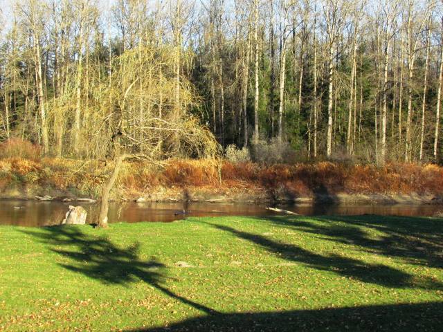 River Park in November