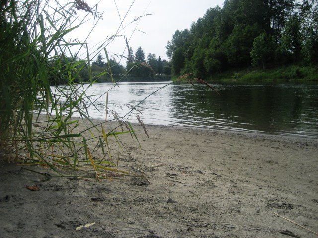 Riverbank