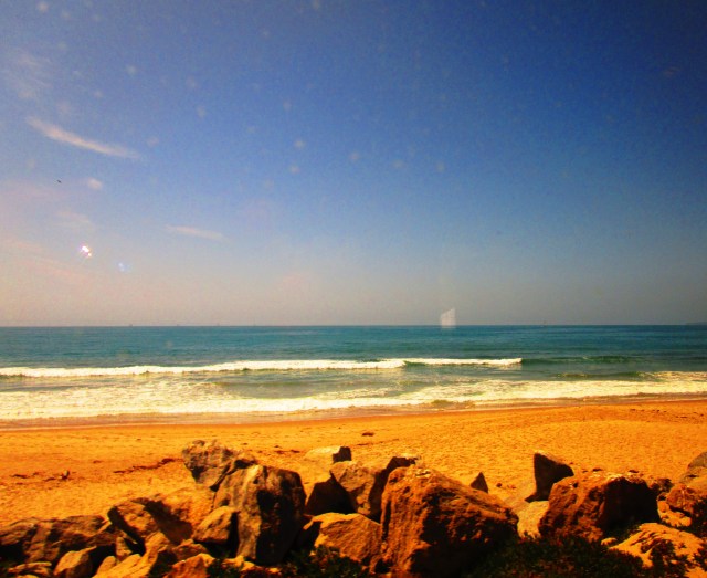 California Coastline 2015