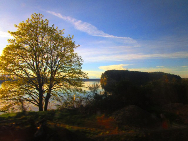 Morning Frame on the Train 2015
