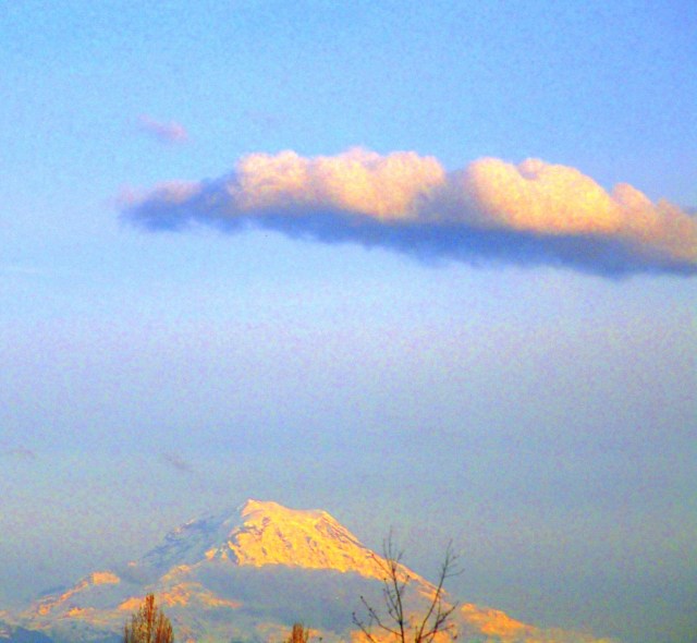 Mt. Rainier