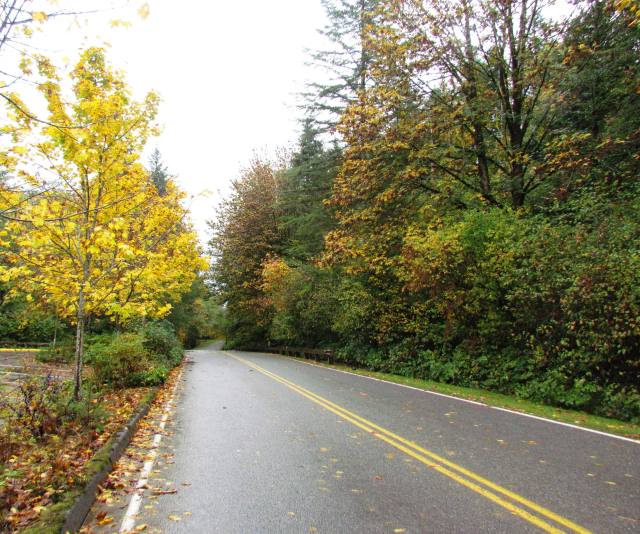 Fall Down the Road 2015