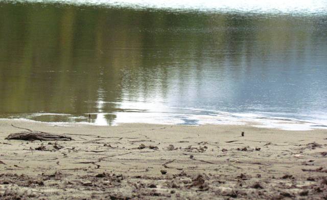 Rattlesnake Lake 2015