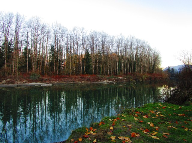 On the Snoqualmie River 2015
